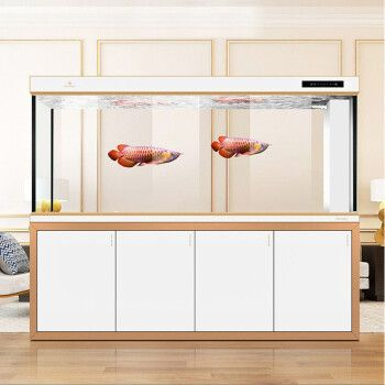金龍魚水族箱過濾系統選擇：選擇合適的水族箱過濾系統對于金龍魚的健康至關重要