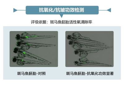 圓柱式魚缸(圓筒形魚缸)