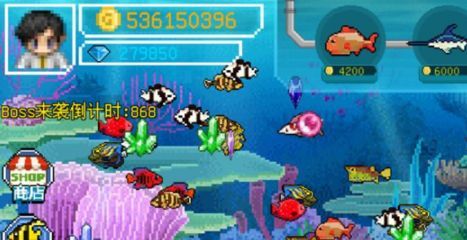 水族館專用飼料購買指南（水族館專用飼料是確保魚類健康生長的關鍵）