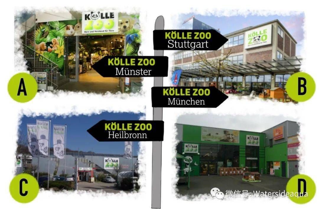 水族館專用飼料購買指南（水族館專用飼料是確保魚類健康生長的關鍵）