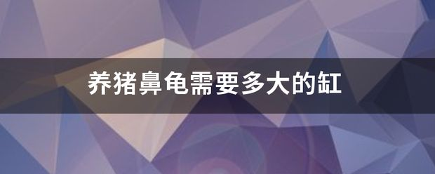 要想把豬鼻龜養大要用多大缸：養豬鼻龜需要多大的魚缸才能養活它