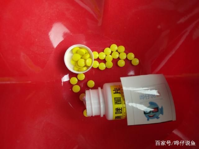 泰國虎魚腸道疾病預防方法,泰國虎魚腸道疾病早期癥狀觀賞魚水質管理要點 虎魚百科 第6張 泰國虎魚腸道疾病預防方法,泰國虎魚腸道疾病早期癥狀觀賞魚水質管理要點 泰國虎魚腸道疾病預防方法,泰國虎魚腸道疾病早期癥狀觀賞魚水質管理要點 虎魚百科 第6張