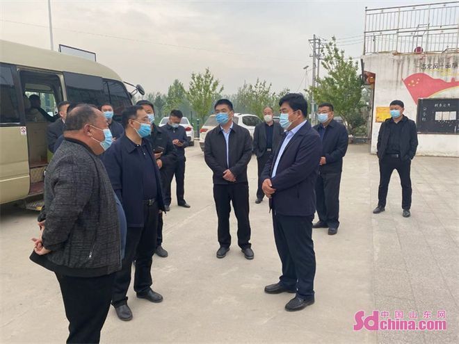 過背金龍魚價格：過背金龍魚價格波動及其影響因素分析