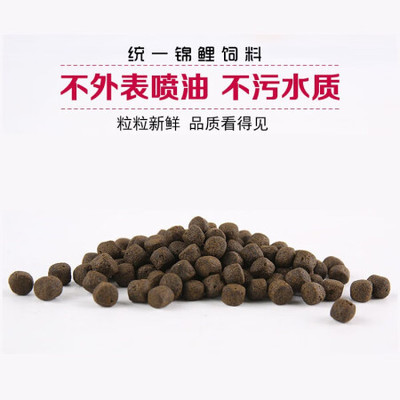 龍虎魟最忌諱的三個顏色及其風水影響，龍虎魟最忌諱的三個顏色及其風水影響解析