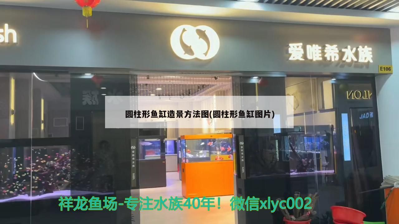 圓柱形魚(yú)缸造景方法圖(圓柱形魚(yú)缸圖片)