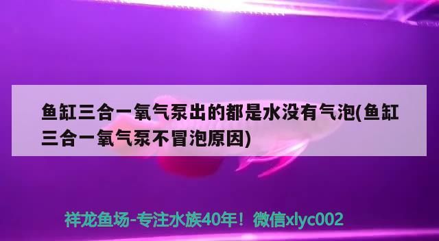 魚缸三合一氧氣泵出的都是水沒有氣泡(魚缸三合一氧氣泵不冒泡原因)