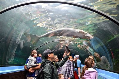 水族館英文怎么讀音（\"aquarium\"英文單詞）