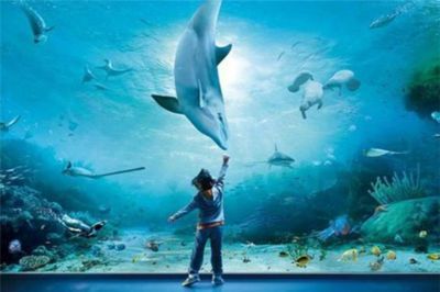 水族館動畫圖片（關于水族館動畫圖片的網站）