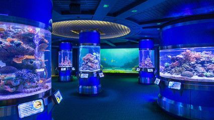 水族館動畫圖片（關于水族館動畫圖片的網站）