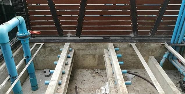 龍魚喂食凍泥鰍全攻略，處理技巧、注意事項與常見問題解答，龍魚喂食凍泥鰍全指南，處理技巧、注意事項與常見問題解答