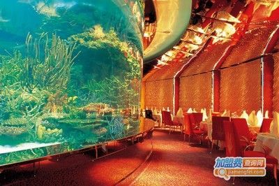 水族館加盟條件及費(fèi)用多少錢一個(gè)月啊（水族館加盟條件及牌子）