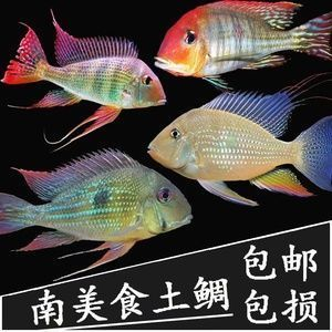 龍虎和官方正規平臺500，安全可靠的在線娛樂選擇，龍虎和官方正規平臺500，安全可靠的在線娛樂首選
