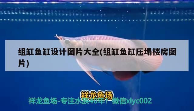組缸魚缸設(shè)計圖片大全(組缸魚缸壓塌樓房圖片)
