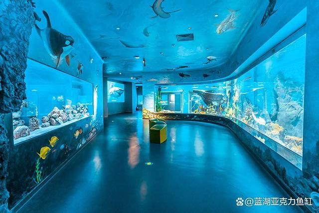水族館建造費(fèi)用標(biāo)準(zhǔn)文件（關(guān)于水族館建造費(fèi)用標(biāo)準(zhǔn)的詳細(xì)文件） 水族館建造費(fèi)用標(biāo)準(zhǔn)文件（關(guān)于水族館建造費(fèi)用標(biāo)準(zhǔn)的詳細(xì)文件） 水族館百科（水族館加盟） 第5張
