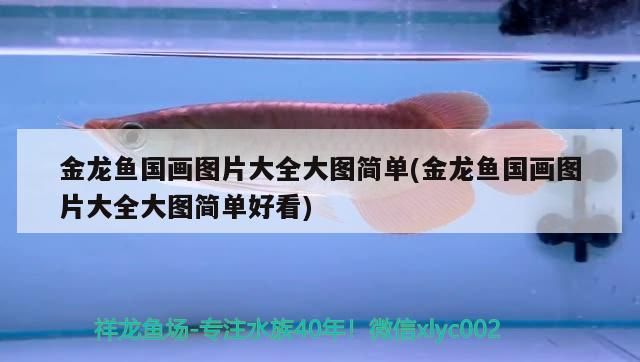 金龍魚國畫圖片大全大圖簡(jiǎn)單(金龍魚國畫圖片大全大圖簡(jiǎn)單好看)