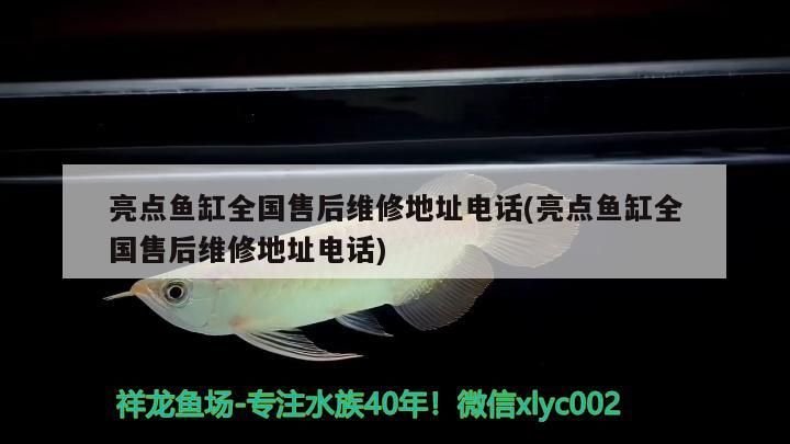龍魚浮頭最簡單三個辦法,養殖龍魚(龍魚)時常見的“浮頭”現象,最簡單、最易上手 龍魚百科 第2張 龍魚浮頭最簡單三個辦法,養殖龍魚(龍魚)時常見的“浮頭”現象,最簡單、最易上手 龍魚浮頭最簡單三個辦法,養殖龍魚(龍魚)時常見的“浮頭”現象,最簡單、最易上手 龍魚百科 第2張