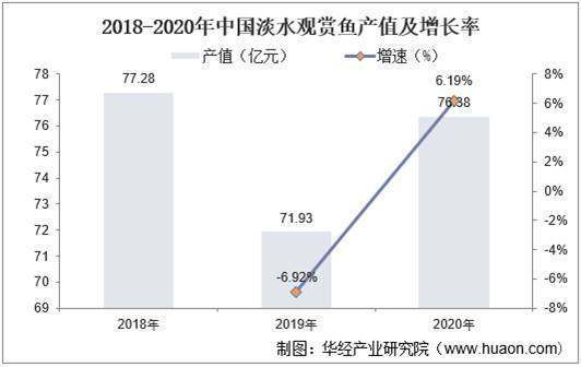 保定魚缸定制工廠在哪里啊多少錢一個月 保定魚缸清理服務電話