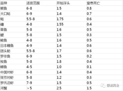 黃金貓觀賞魚(yú)圖片欣賞大全(黃金貓觀賞魚(yú)圖片欣賞大全集)