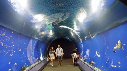 水族館的英文（世界著名水族館介紹水族館的英文是\"）