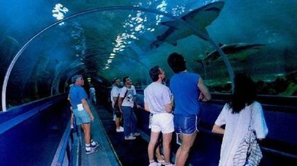 水族館的英文（世界著名水族館介紹水族館的英文是\"）