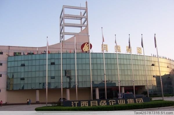 金龍魚運輸應(yīng)急處理方法：金龍魚運輸中的應(yīng)急處理方法 金龍魚運輸應(yīng)急處理方法：金龍魚運輸中的應(yīng)急處理方法 金龍魚百科 第4張