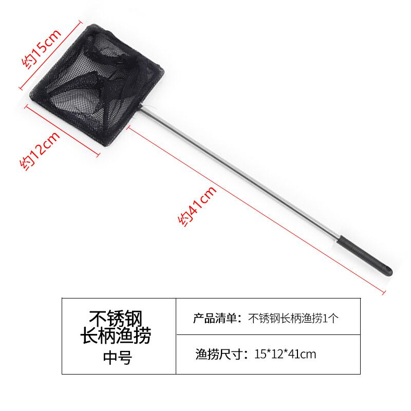 新的黃金貓的圖片大全(新的黃金貓的圖片大全大圖)