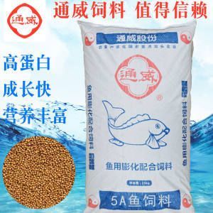 虎紋銀板魚飼料配方，虎紋銀板魚飼養方法和注意事項主要包括以下幾個方面