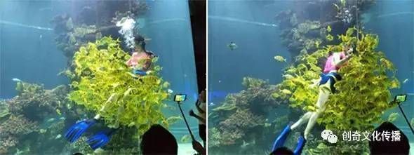 隨州龍魚(yú)vs隨州水族批發(fā)市場(chǎng)vs隨州水族館vs隨州魚(yú)缸批發(fā)市場(chǎng)vs祥龍魚(yú)場(chǎng)：隨州水族批發(fā)市場(chǎng)