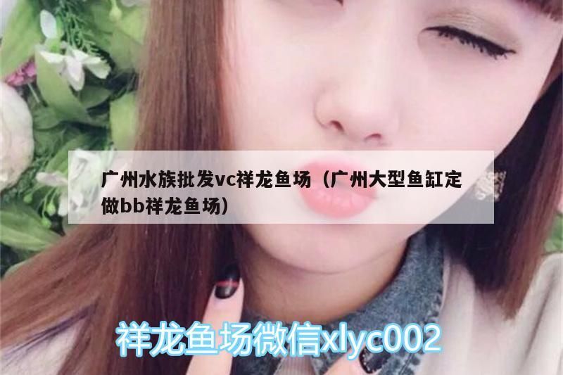 廣州水族批發(fā)vc祥龍魚(yú)場(chǎng)（廣州大型魚(yú)缸定做bb祥龍魚(yú)場(chǎng)）