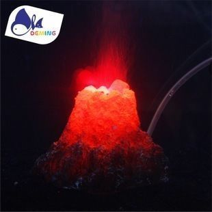 來賓龍魚vs來賓水族批發市場vs來賓水族館vs來賓魚缸批發市場vs祥龍魚場：來賓水族批發市場和魚缸批發市場評價祥龍魚場特色品種