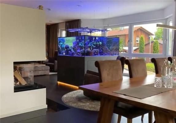 南寧龍魚vs南寧水族批發市場vs南寧水族館vs南寧魚缸批發市場vs祥龍魚場：南寧水族批發市場