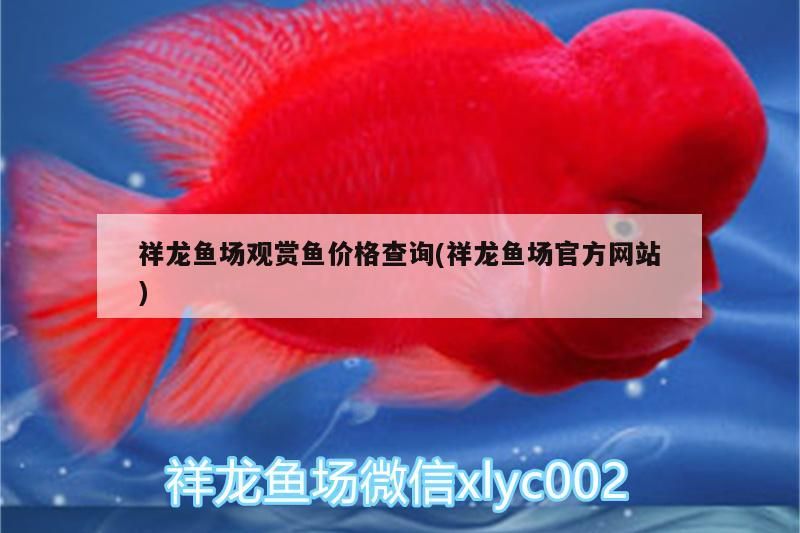 祥龍魚場觀賞魚價格查詢(祥龍魚場官方網站)