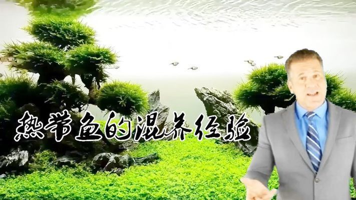 熱帶魚混養兼容性指南，混養熱帶魚時兼容性是關鍵因素之一提供了一份指南