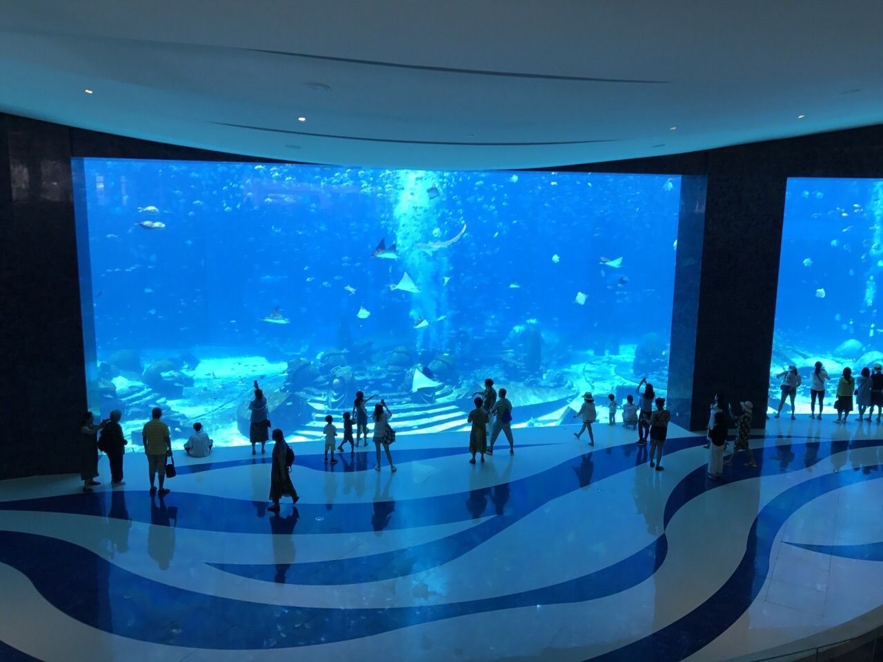 水族館專業（水族館專業介紹）