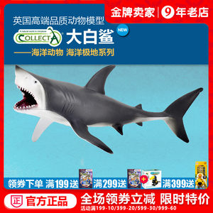 愉快的假期