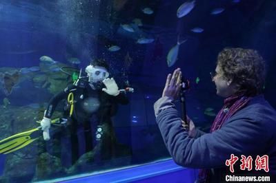 水族館利潤大嗎？：上海海洋水族館門票定價策略水族館門票定價策略
