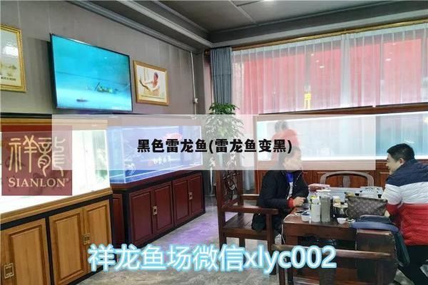 負壓魚缸的原理圖解，如何提高負壓魚缸氧氣含量負壓魚缸與普通魚缸對比