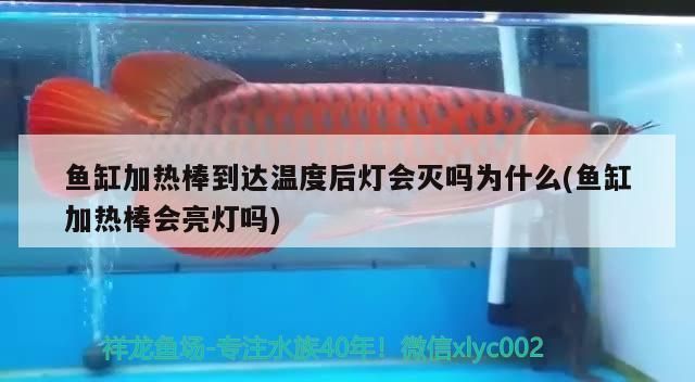 張家口龍魚vs張家口水族批發市場vs張家口水族館vs張家口魚缸批發市場vs祥龍魚場：張家口水族館特色展覽祥龍魚場魚類品種介紹