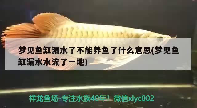 夢見魚缸漏水了不能養魚了什么意思(夢見魚缸漏水水流了一地)