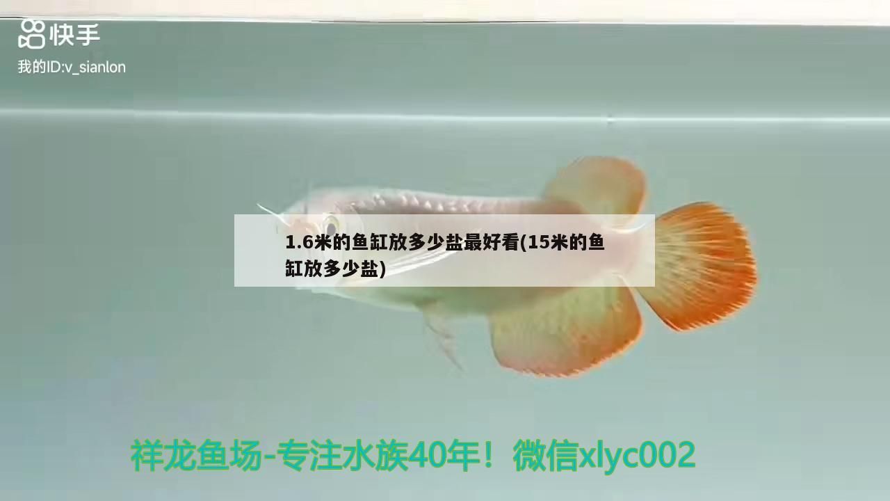 1.6米的魚缸放多少鹽最好看(15米的魚缸放多少鹽)