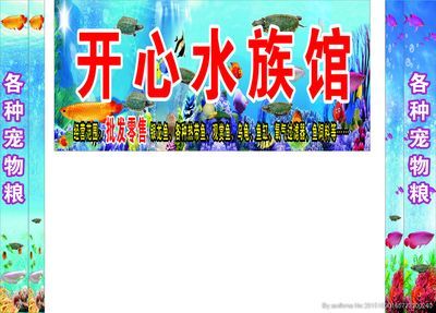 水族館招牌：水族館招牌的設計靈感來源