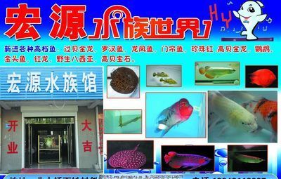 水族館招牌：水族館招牌的設計靈感來源