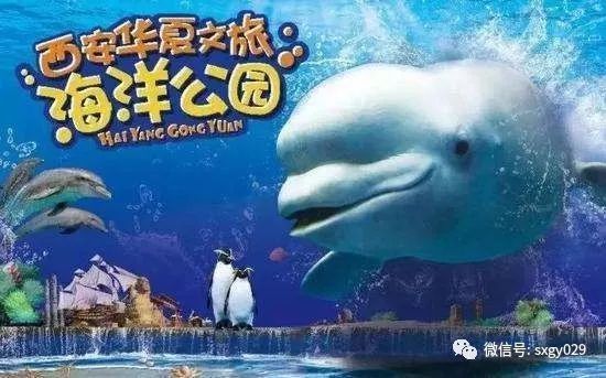 開個水族館的艱難之旅英語（開一家水族館需要克服眾多難題，）