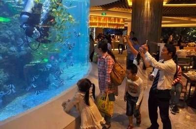 現在水族館生意怎么樣啊（上海海洋水族館）
