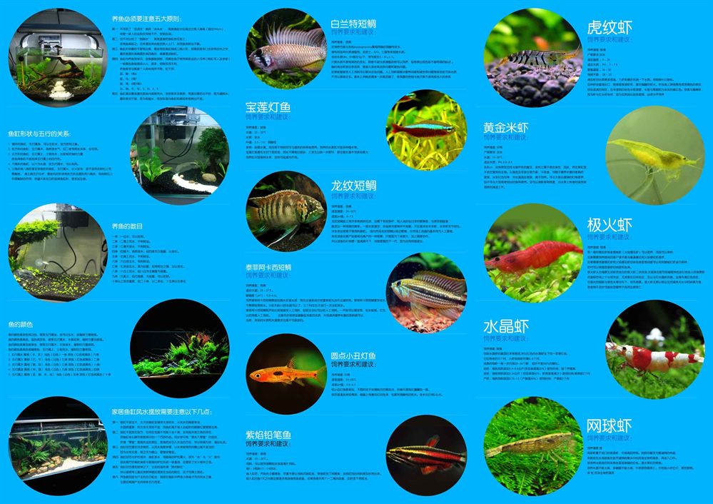 水族館魚類介紹大全（水族館中的魚類繁殖技術和水族館魚類繁殖技術介紹）