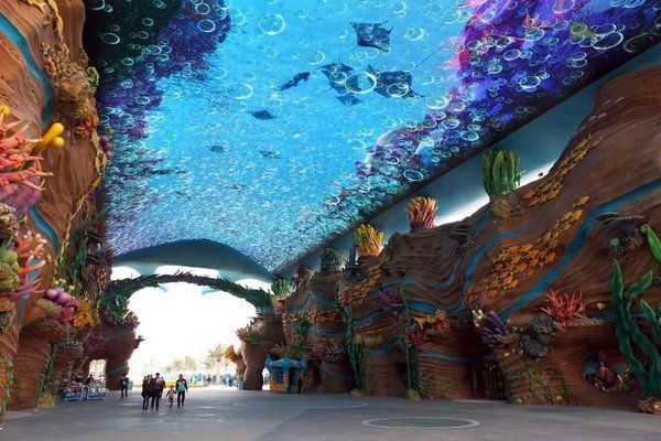 水族館主營業(yè)務(wù)有哪些內(nèi)容(北京水族館) 水族館百科(水族館加盟) 第4張 水族館主營業(yè)務(wù)有哪些內(nèi)容(北京水族館) 水族館主營業(yè)務(wù)有哪些內(nèi)容(北京水族館) 水族館百科(水族館加盟) 第4張