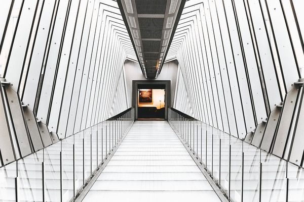 唐山龍魚vs唐山水族批發市場vs唐山水族館vs唐山魚缸批發市場vs祥龍魚場：唐山水族市場