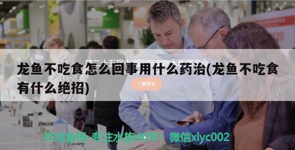 龍魚不吃食但是狀態(tài)挺好用下藥嗎vs祥龍魚場(chǎng)：龍魚不吃食怎么辦