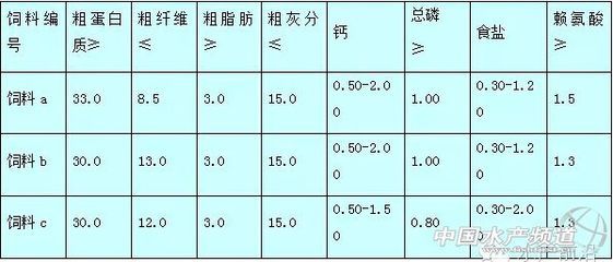 兩條金龍魚混養(yǎng)方法，和諧共處的秘訣，雙龍共舞，金龍魚混養(yǎng)和諧秘訣