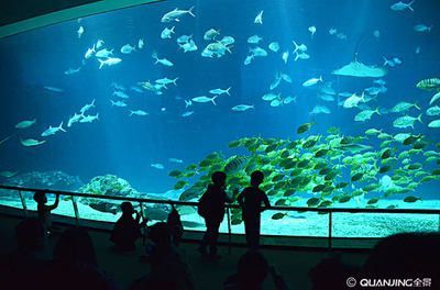 水族館誰負責管理：水族館的管理責任通常由水母館或水族館管理委員會承擔